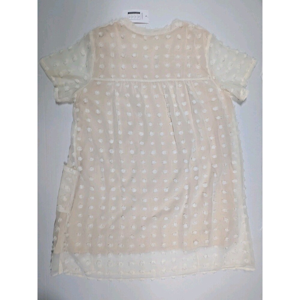 Dusty Pink & Ivory/Cream Swiss Dot Shift Dress XXL (2 dresses) - Picture 11 of 16
